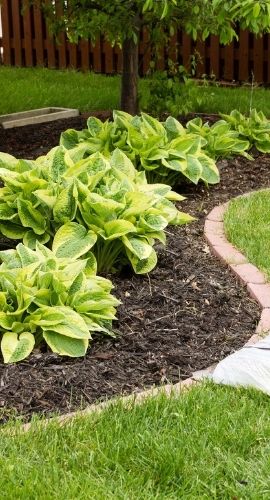 About United Cleaning Group